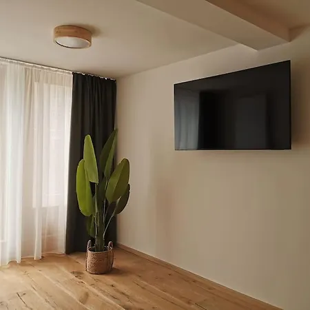 公寓 Alpenperle Im Zentrum Von 埃尔福特